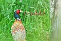 23 06 15_5274_edited-2